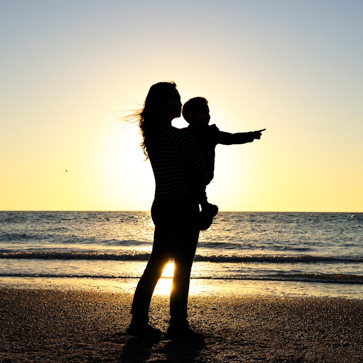 Happy Asian Mother (35-40 years old) holding her Half-Asian young son (3-4 years old boy) with love ...