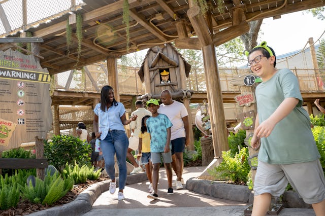 Guests joyously walk through Universal Orlando's new DreamWorks Land.