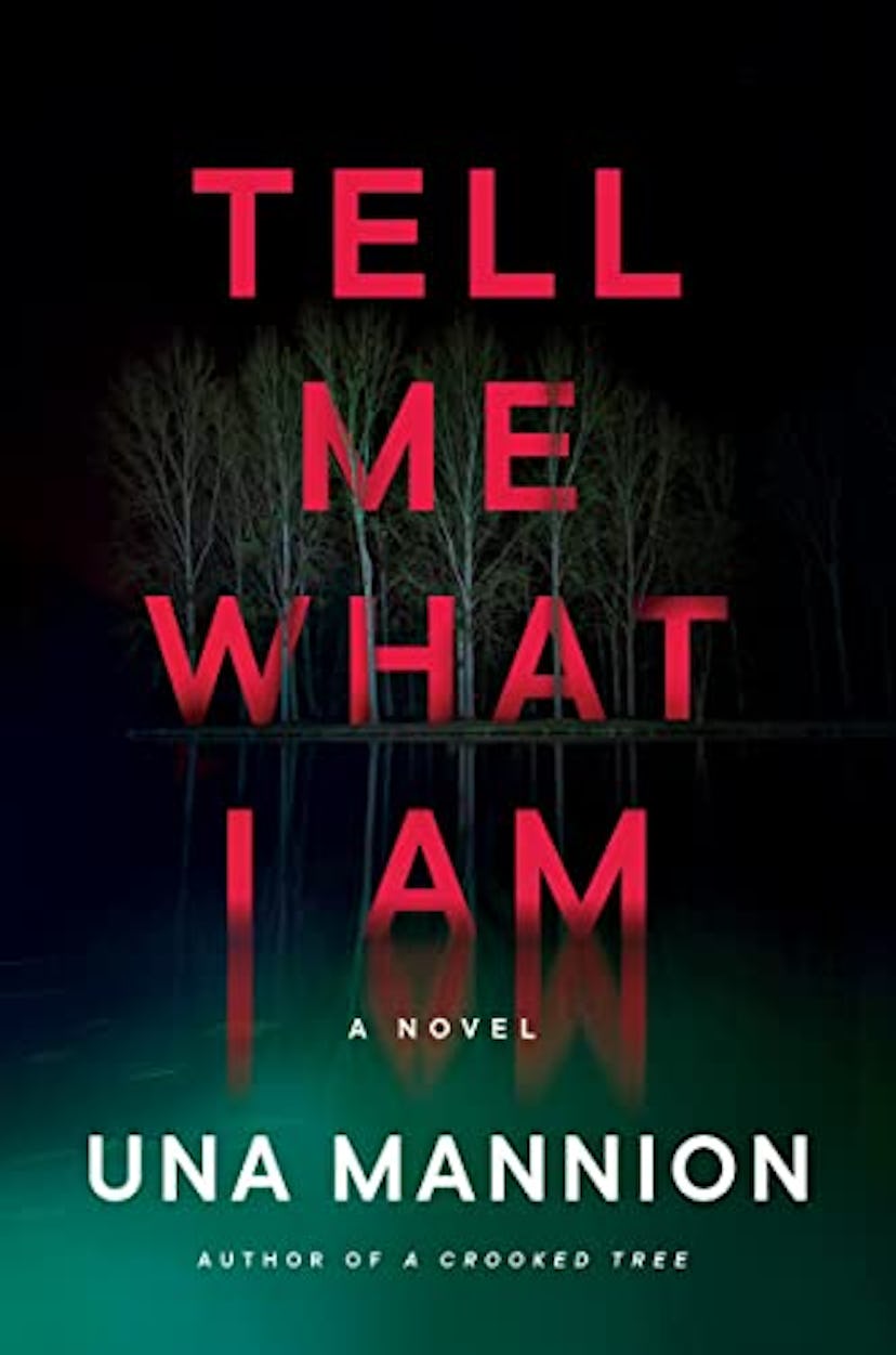 'Tell Me What I Am' by Una Mannion