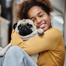 What would you name this Pug? Apparently the most popular Pug name is Bella.