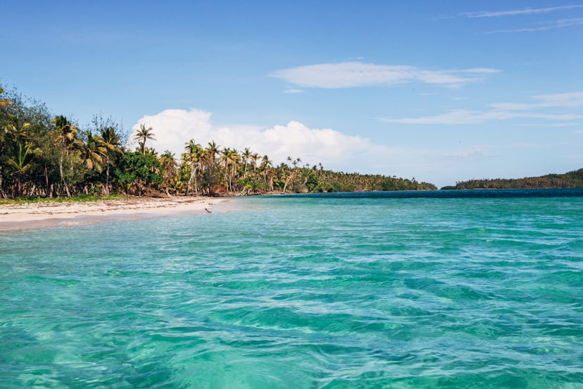 A tropical golden sand beach with palm trees and clear turquoise water on an Island in Fiji on the Y...