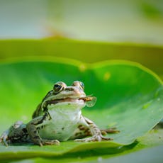 Netflix's new docuseries 'Our Living World' comes just in time for Earth Month.