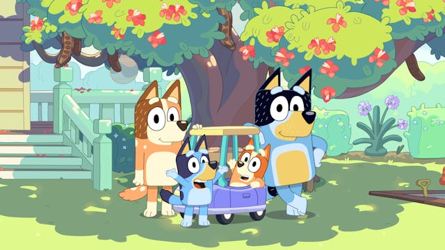 The Australian animated series 'Bluey' has taken the world by storm, leading U.S. viewers to wonder ...