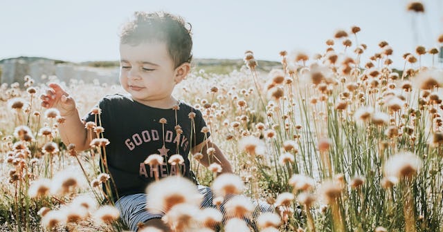 Toddler boy sitting in meadow.