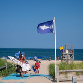 A flag with a shark warning flies as beachgoers depart July 26, 2023 at Nauset Beach in Orleans Mass...