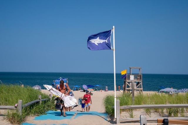 A flag with a shark warning flies as beachgoers depart July 26, 2023 at Nauset Beach in Orleans Mass...