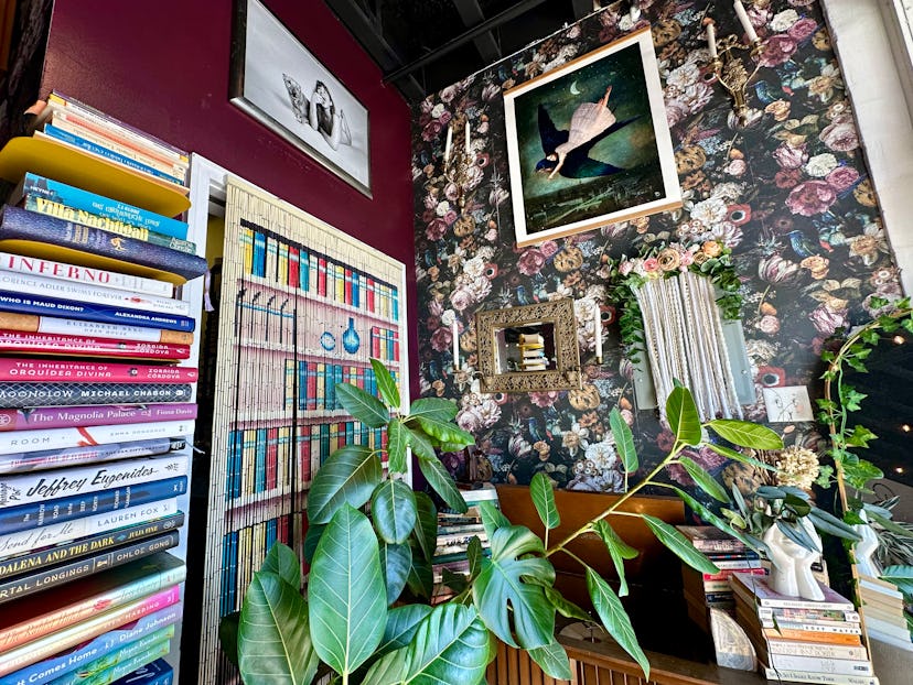 Papercut Books in Wilmington, North Carolina